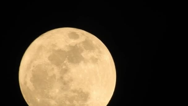 Dolunay, Ay 'ın Dünya' dan tamamen aydınlatıldığı zaman meydana gelen bir evredir. Büyük ay tam safhasında, kenarlarında siyah bir arka planda görünen detaylı kraterlerle., - Video, Çekim