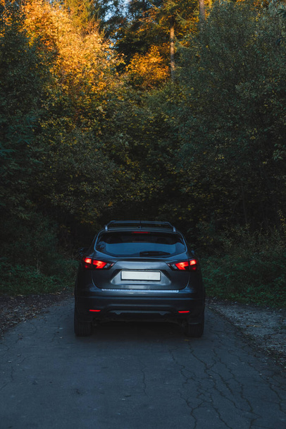 Zaparkované auto s rozsvícenými reflektory před podzimním lesem. Zadní pohled - Fotografie, Obrázek