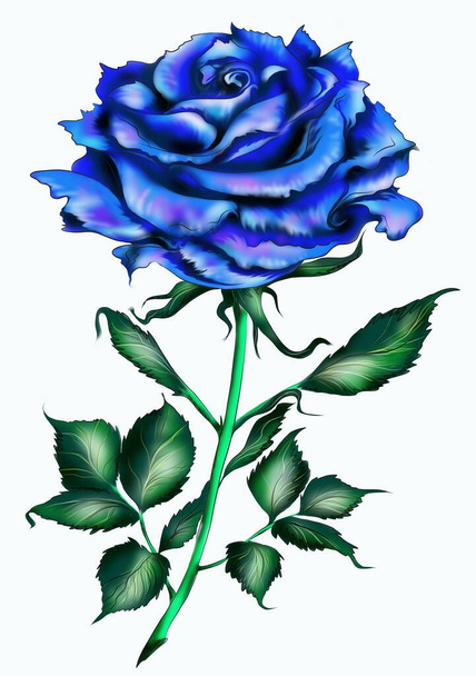 The rose is blue. Rose of love. computer painting    - Foto, Imagen