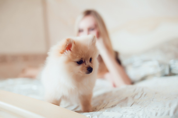 Beautiful Blonde Woman with Her Dog in a Beautiful Interior - Zdjęcie, obraz