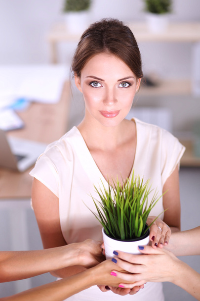 Beautiful woman holding pot with a plant, standing at home - Foto, immagini