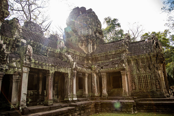 Ősi templomromok Siem Reap dzsungelében, Kambodzsában - Fotó, kép