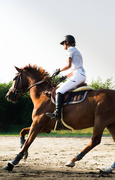 Schöne junge Jockeyspielerin auf einem Pferd im Freien. - Foto, Bild