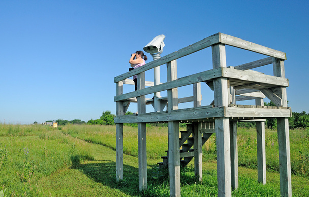 Vogelbeobachter im Einsatz - Foto, Bild