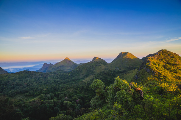 ranní mlhy v tropické horské pásmo - Fotografie, Obrázek