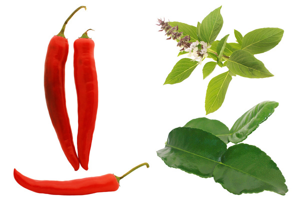Ingredientes de curry verde sobre fondo blanco
. - Foto, Imagen