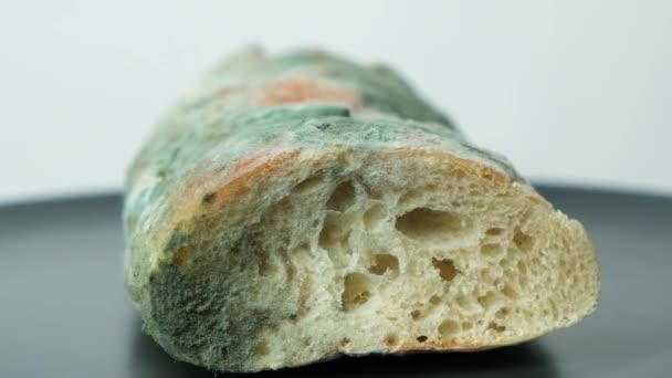 Schimmel auf Brot auf weißem Hintergrund in Großaufnahme. Die Gefahr von Schimmel, abgestandenen Produkten - Filmmaterial, Video