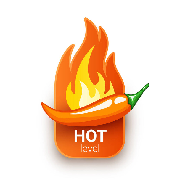 Green chili pepper pod and fire flame from behind. Hot spiciness level. Logo design for hot sauces or other spicy food - Vector, Image