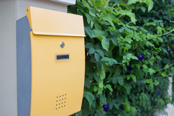 yellow metal mailbox with green leaves background - Photo, Image