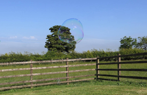 Giant Soap Bubble with a Bubble wand in a garden - Photo, Image