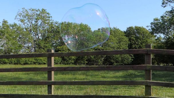 庭にバブルワンド付きの巨大な石鹸バブル - 写真・画像
