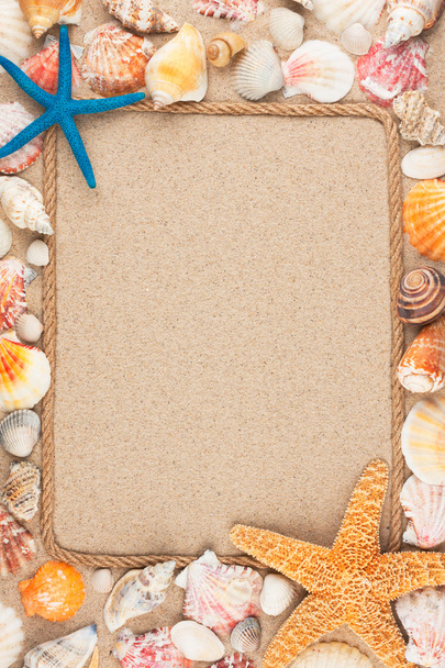 Beautiful frame of rope and seashells on the sand - Φωτογραφία, εικόνα