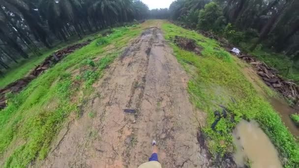 hátrafelé mozgás séta az üres sáros tanyasi ösvényen - Felvétel, videó