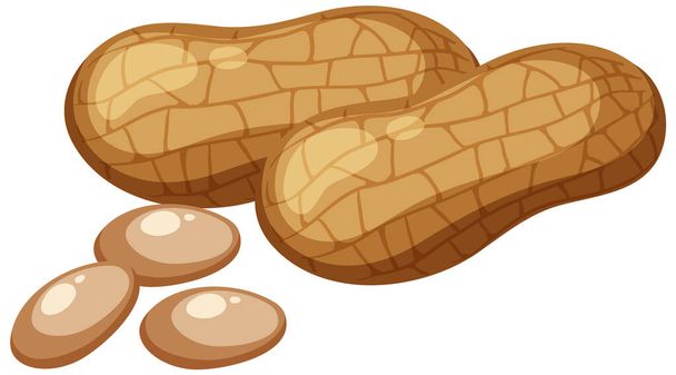 Peanuts isolated on white background illustration - Vector, Image