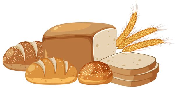 Group of different breads illustration - Vector, Image