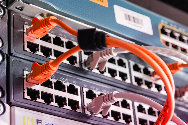 kleurrijke patch kabels aangesloten op switch - high speed internet concept - Foto, afbeelding