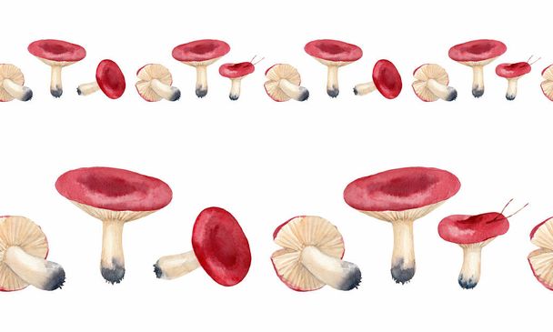 Red mushrooms. Watercolor seamless border. Hand-drawn art for greeting cards, invitations and interior decoration. Vintage pattern. Artistic illustration on white background. - Photo, Image