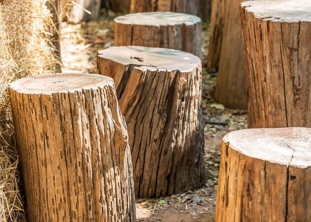 Puinen tuoli puinen log
 - Valokuva, kuva