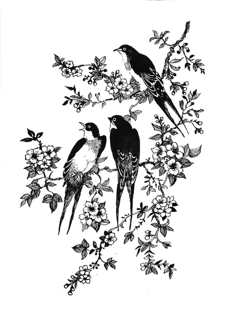 Swallows on tree twigs - Фото, зображення
