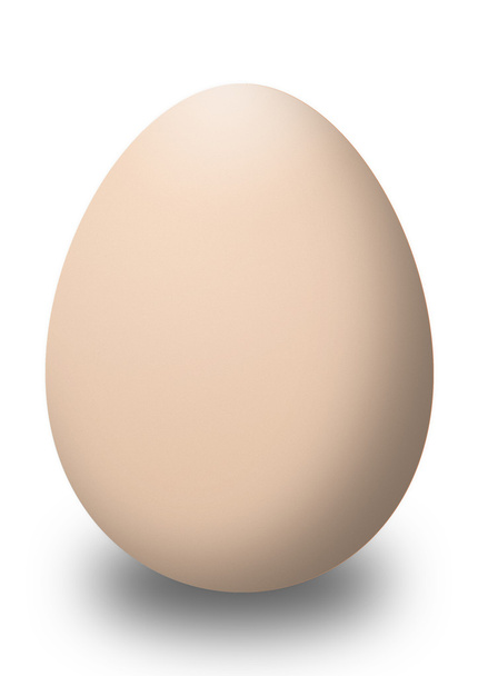 elszigetelt fehér barna tojás - Fotó, kép