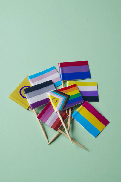 θέα υψηλής γωνίας ενός τσούρμου διαφορετικών LGBTIQA σημαίες που συνδέονται με ξύλινα κοντάρια σε ένα πράσινο φόντο - Φωτογραφία, εικόνα