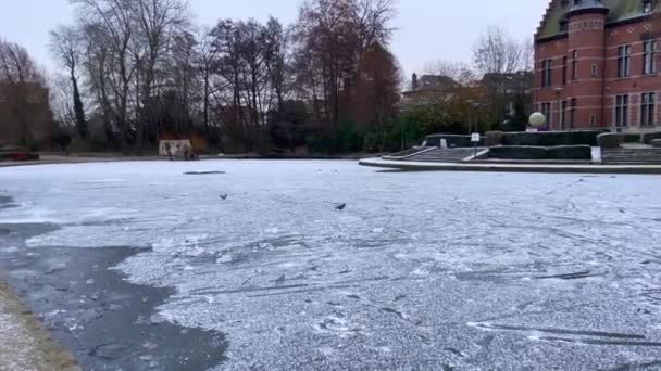 Замерзший пруд рядом со зданием Brasco Mariadal в бельгийском городе Завентем - Кадры, видео