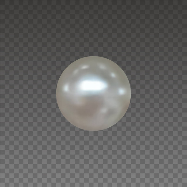 ilustración perla realista. vector de perlas aisladas - Vector, Imagen