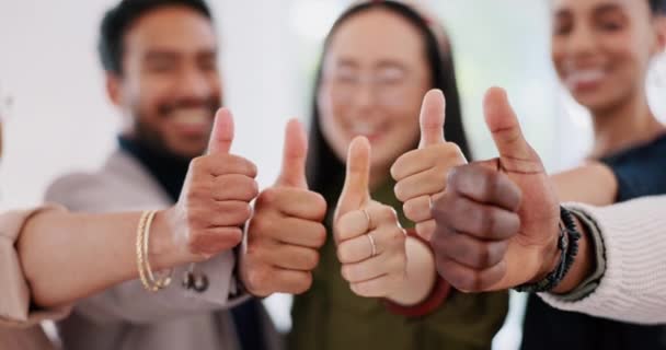 Thumbs up, success and work motivation community of happy office with trust and thank you hand sign. Collaboration growth, diversity and teamwork support of a business team with yes hands gesture. - Footage, Video