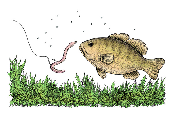 Fishing illustration - Foto, afbeelding