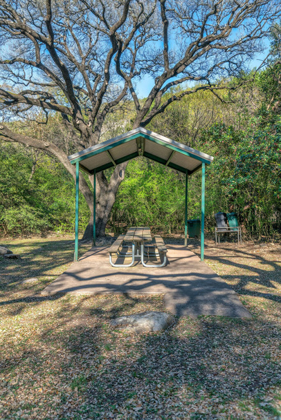 Austinissa, Texasissa, yhteispuistossa, jossa on piknikpöytä katon alla. Katettu ruokailutila vastaan näkymä vihreitä puita metsässä tausta. - Valokuva, kuva