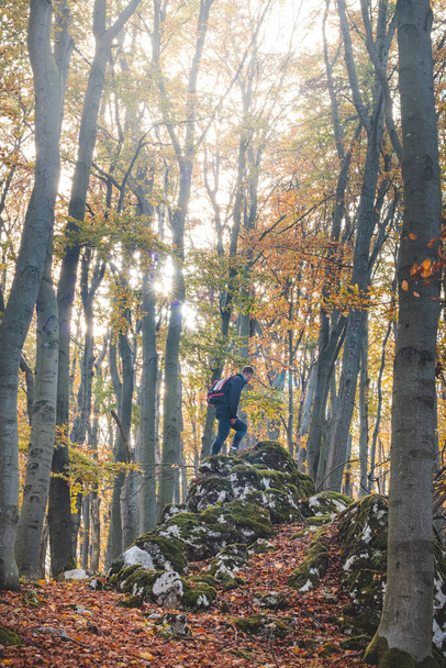 L'avventuriero sale fino all'ultimo punto su una roccia nella foresta autunnale sulle montagne Strazovske, Slovacchia. L'uomo è soddisfatto della sua performance. - Foto, immagini