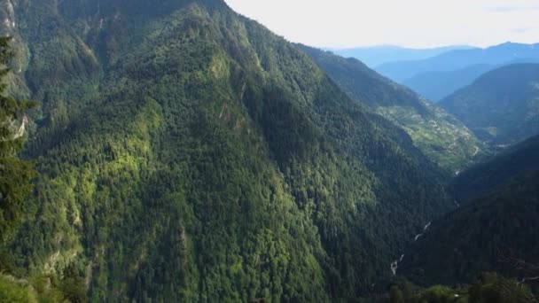 Vista esotica di una valle con fitta foresta di alberi di deodar dalla cima di una collina. Shrikhand Mahadev Kailash Yatra in Himalaya Himachal Pradesh India - Filmati, video
