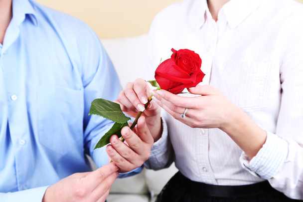 Hands of couple in love with red rose, closeup - Foto, Bild