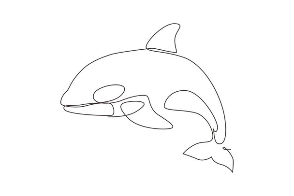 Одна сплошная линия рисует китобойную косатку в воде. Талисман рыб-убийц диких китов для водного бассейна. Косатка под водой. Графическая векторная иллюстрация - Вектор,изображение