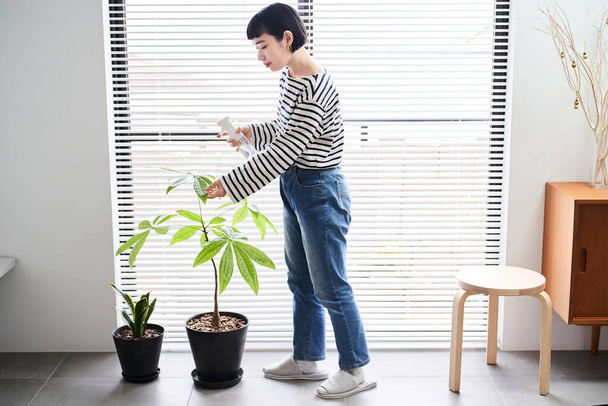 Νεαρή γυναίκα που φροντίζει τα φυτά του σπιτιού στο δωμάτιο - Φωτογραφία, εικόνα