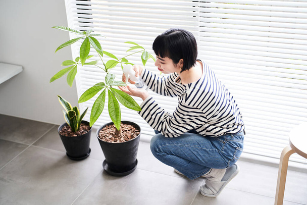 Молода жінка піклується про кімнатні рослини
 - Фото, зображення