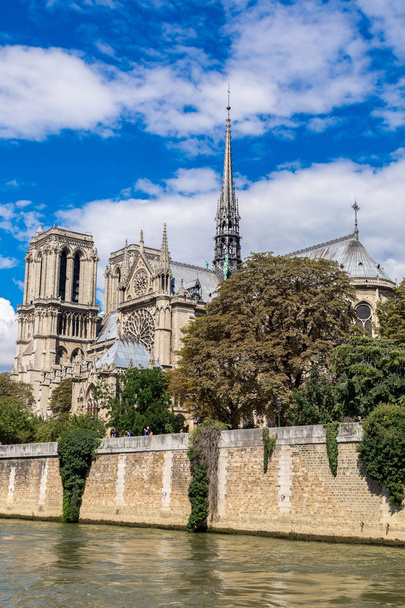 Sekwana i Notre Dame w Paryżu - Zdjęcie, obraz