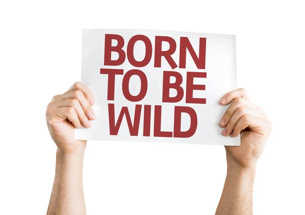 Geboren als Wild card - Foto, afbeelding