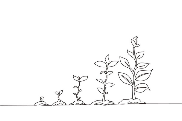 Infografía continua de una línea de dibujo del árbol de plantación. Las semillas brotan en el suelo. Planta de jardín de plántulas. Brotes, plantas, árboles que crecen iconos. Ilustración gráfica vectorial de diseño de línea única - Vector, imagen