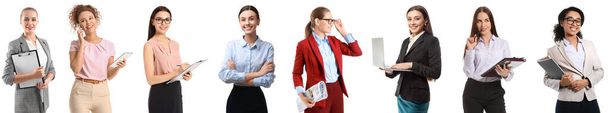 Set of pretty young businesswomen on white background - Photo, Image