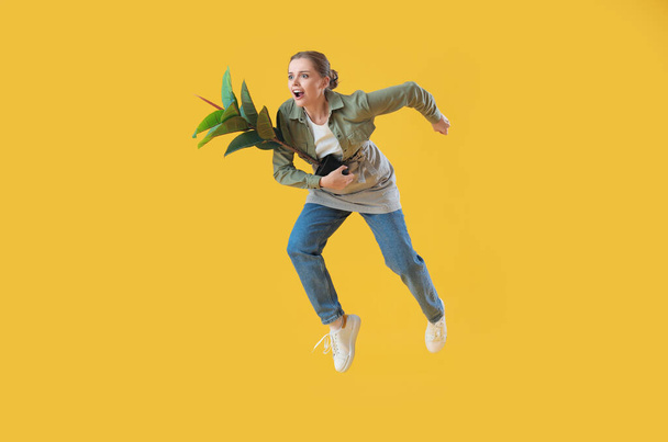 giardiniere femminile con pianta d'appartamento saltando su sfondo giallo - Foto, immagini