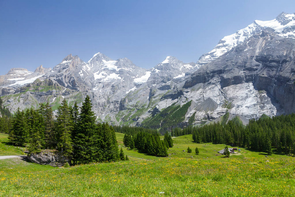 Πανοραμική θέα των καταπράσινων αλπικών λιβαδιών και των Άλπεων βουνά στην Ελβετία - Φωτογραφία, εικόνα