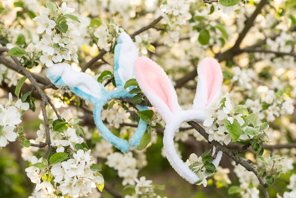 Easter bunny ears and tree brunches with white cherry blossom flowers. - Photo, Image