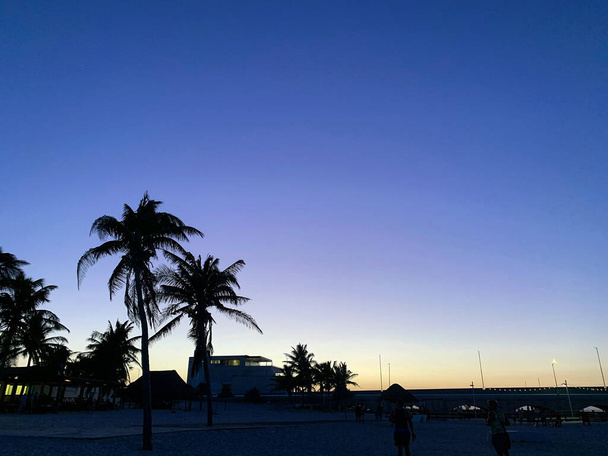 beautiful seascape with palms on background, Puerto progreso, Yucatan, Mexico - Photo, Image