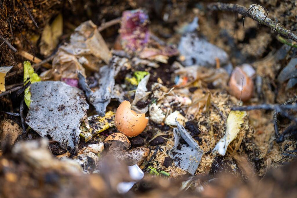 lisäämällä ruokajätettä kompostiin. muna kuori, vihannesten ja hedelmien tähteet kääntämällä kompostin kotipuutarhassa Australiassa - Valokuva, kuva