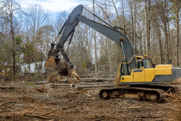 家の建設のための明確な土地に切断された木からの切り株の根の除去はトラクターバックホーで行われました. - 写真・画像