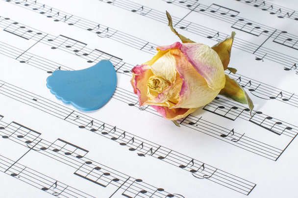 Vybledlé růže kvetou a guitar pick na notový záznam poznámek - Fotografie, Obrázek