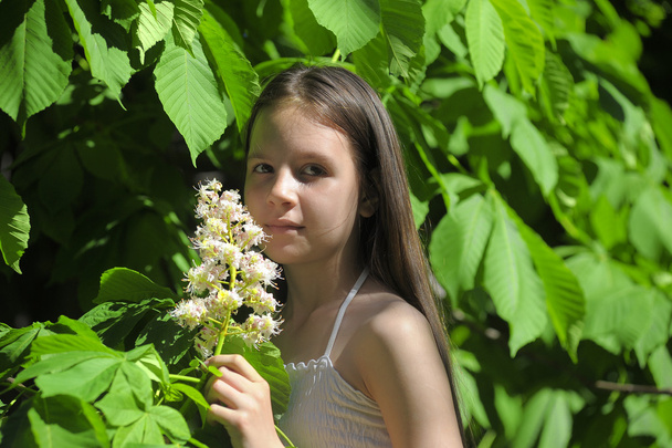 Flowering tree and girl - Фото, зображення