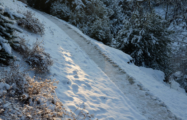 carreteras cubiertas de nieve y senderos en el parque natural pronto debe ser despejado por el mantenimiento con arados, escobas, palas, rastrillos. limpiar la nieve resbaladiza antes de que los visitantes se lesionen - Foto, Imagen