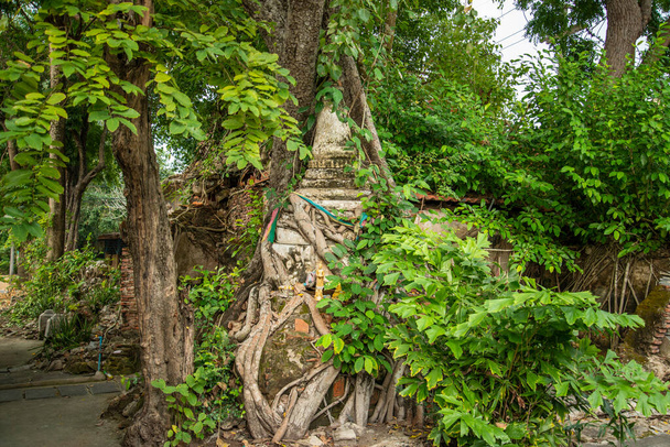 a régi sztúpa a Wat Bang Kapom a város Amphawa tartományban Samut Songkhram Thaiföldön, Thaiföld, Amphawa, november,  - Fotó, kép